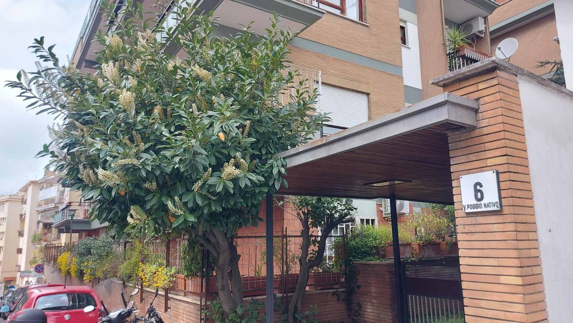 Appartamento Isabella Roma Exterior foto